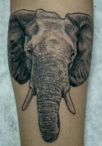 elefante tattoo